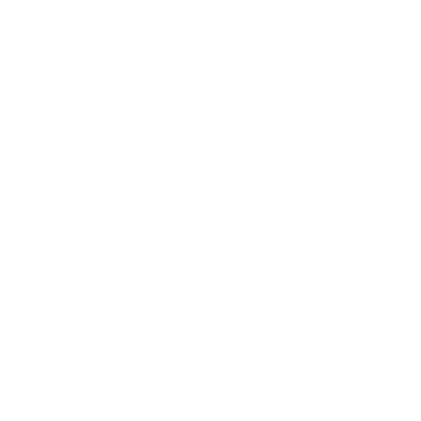 funding-viewing-icon